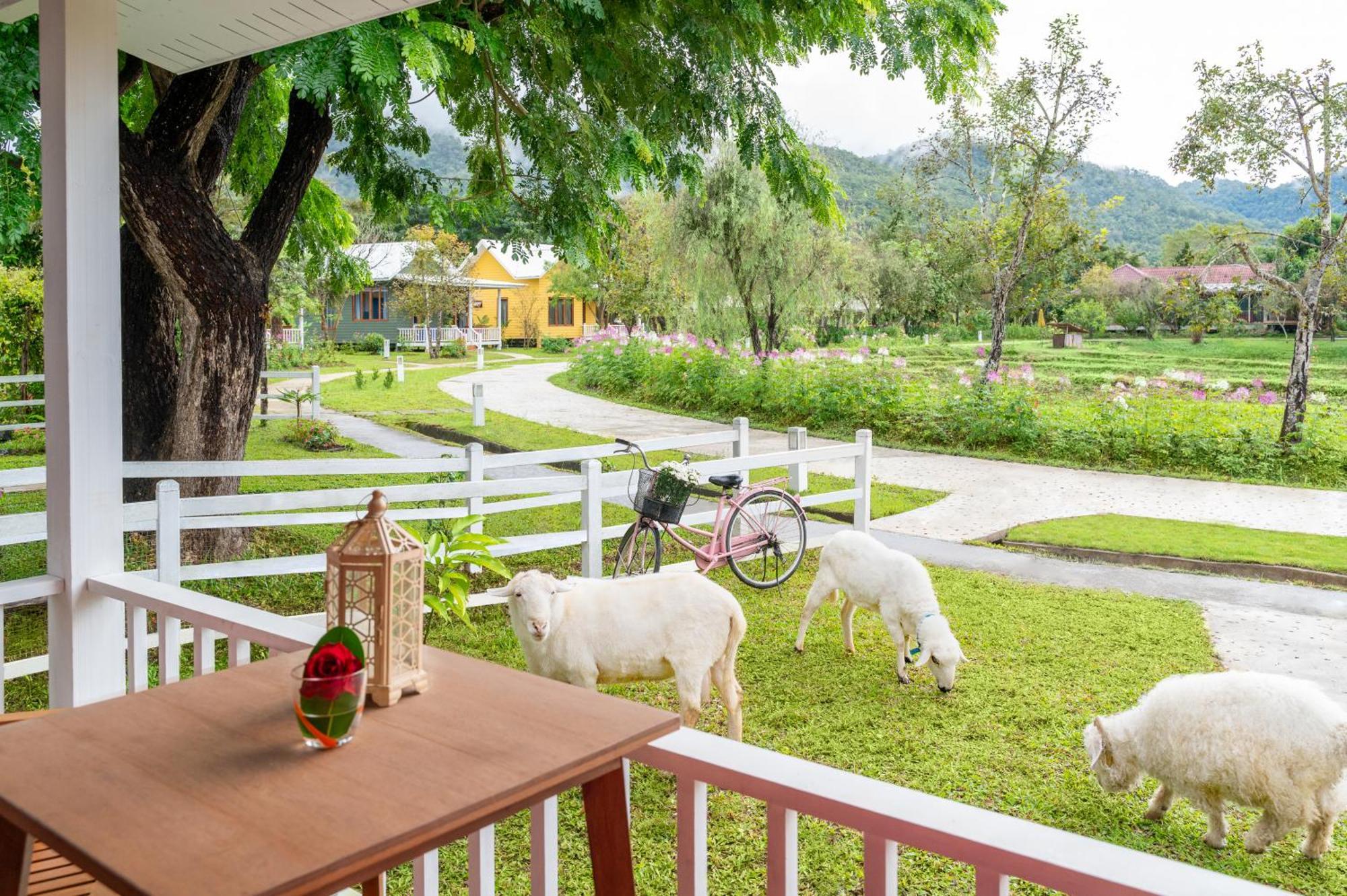Luxury Farm House باي المظهر الخارجي الصورة