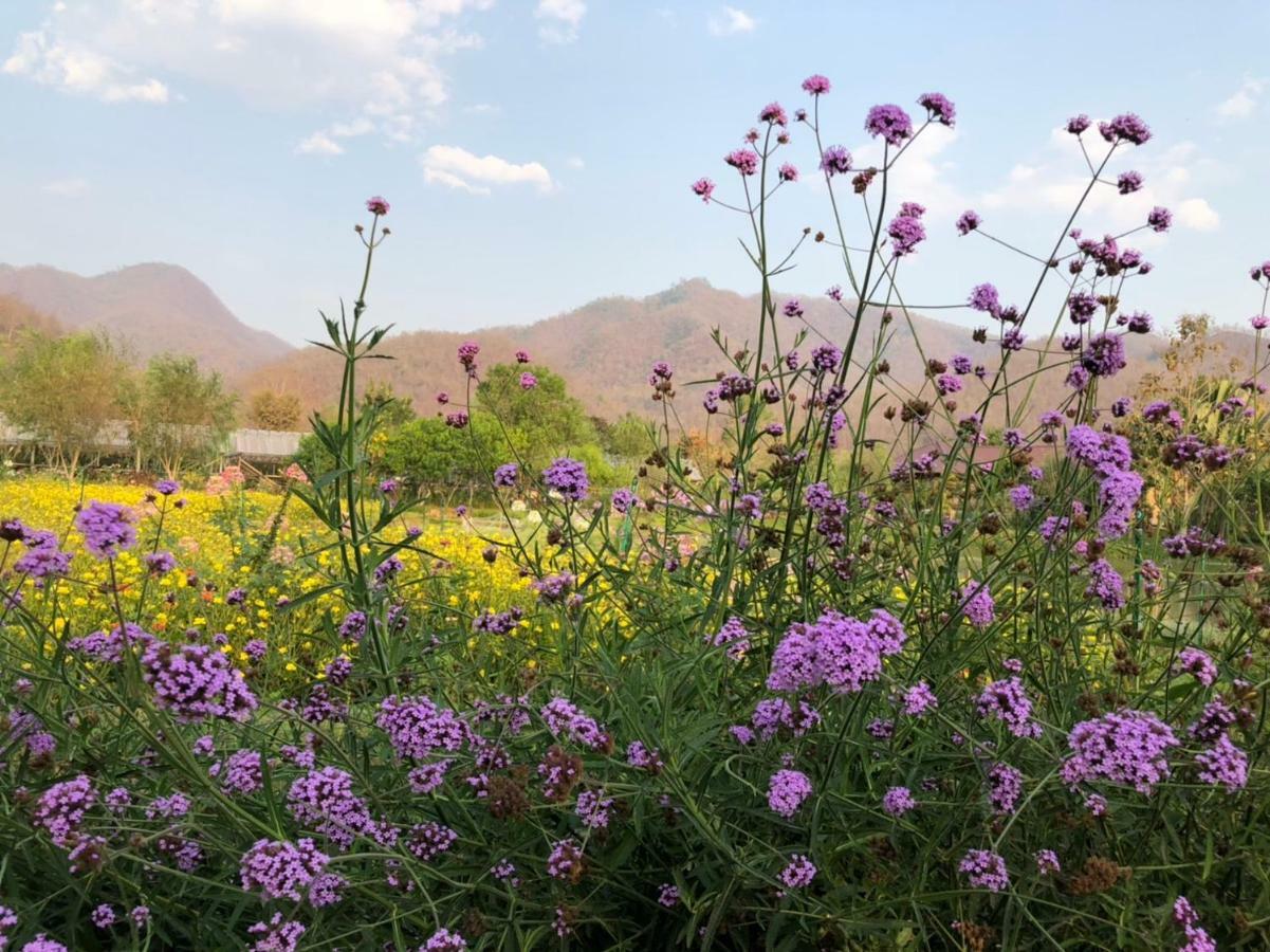 Luxury Farm House باي المظهر الخارجي الصورة