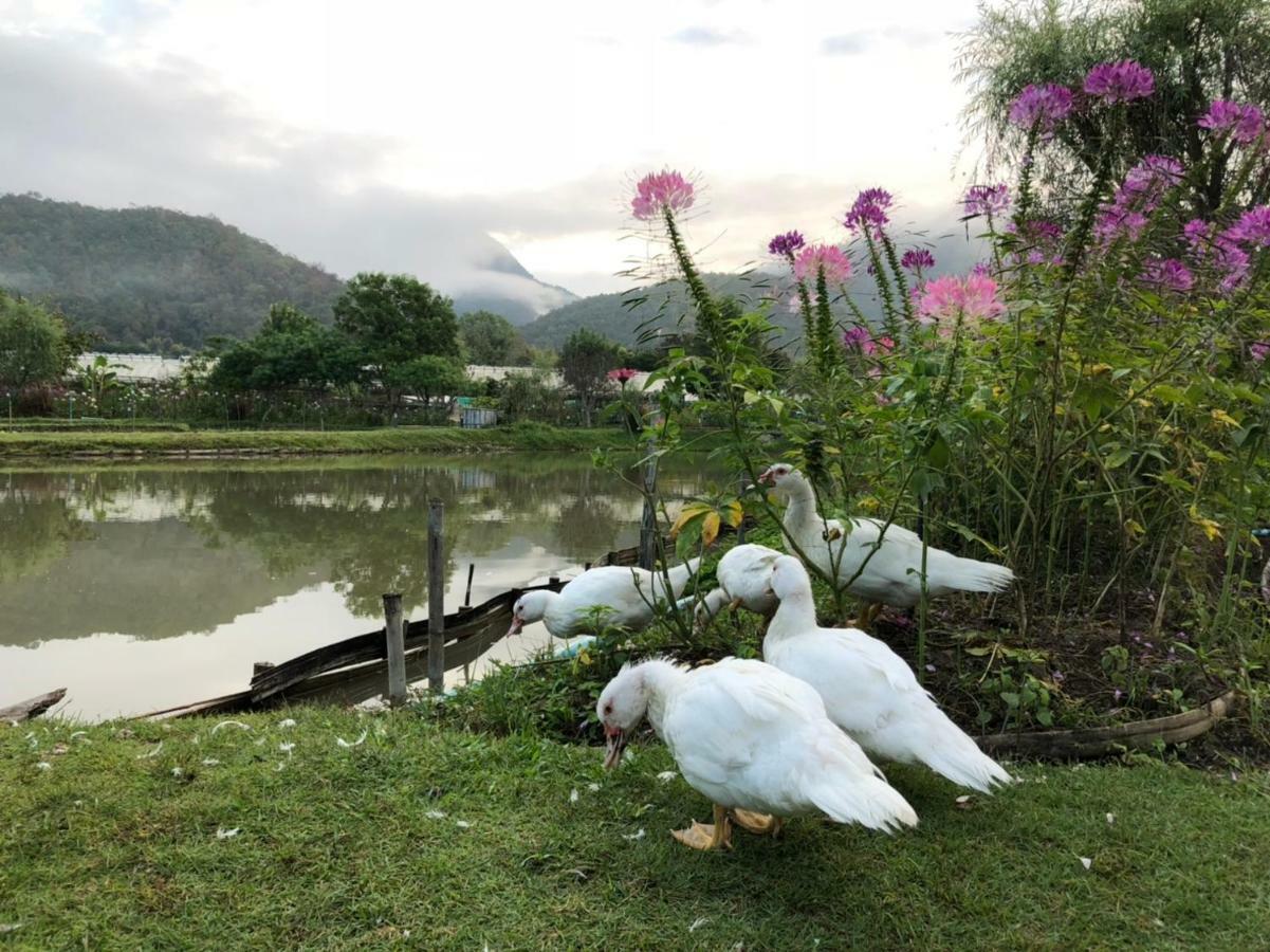 Farmstay At باي المظهر الخارجي الصورة